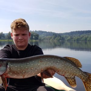 marioritzel14@gmali.com