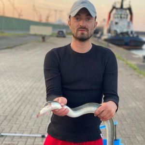 Profilbild