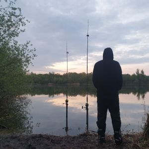 Profilbild