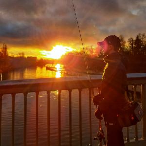 Profilbild