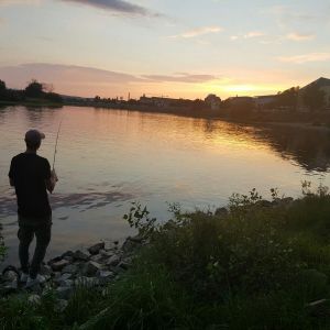 Profilbild