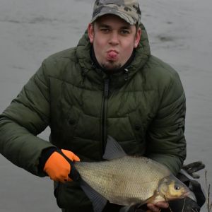 Daniel Stephan83