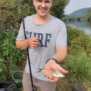Profilbild