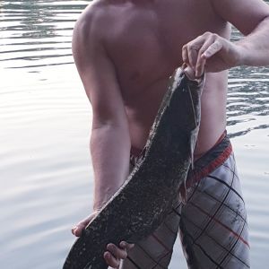 Profilbild