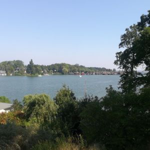 Profilbild