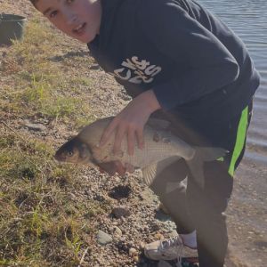 Profilbild