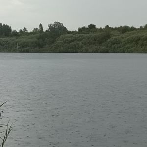Warumnur