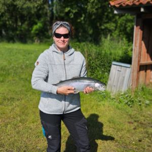 Profilbild