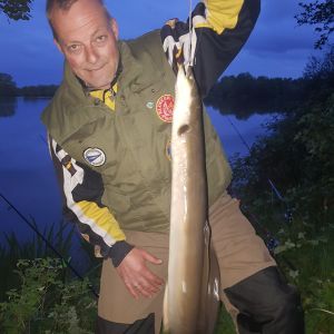 Profilbild