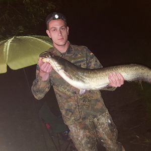 Profilbild