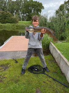 Profilbild