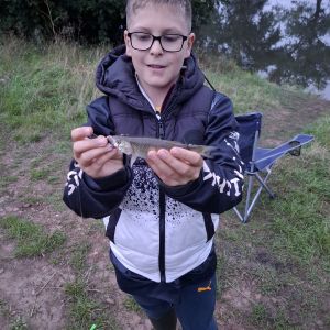 Profilbild