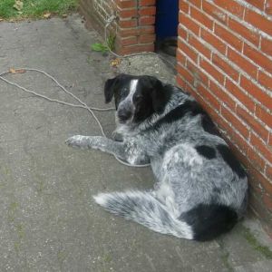 Profilbild