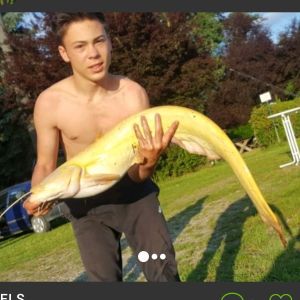 Profilbild