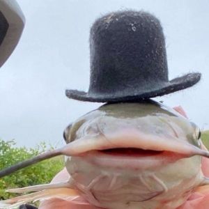 Profilbild