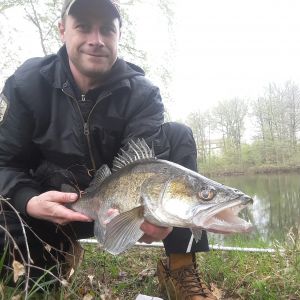 Elke Ronny Wiedemann