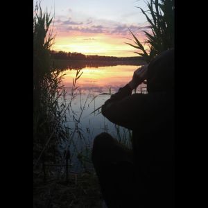 carp.xperience