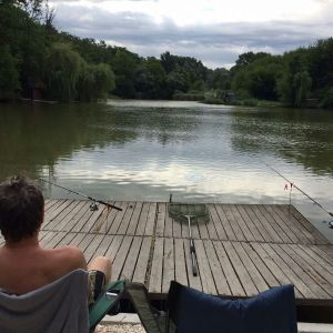 Profilbild