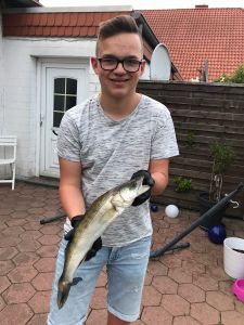 Profilbild