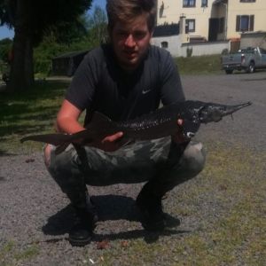 Profilbild
