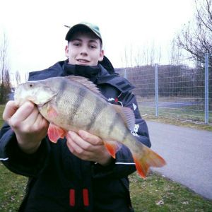 Profilbild