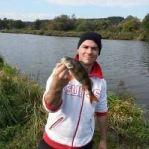 Torsten D.