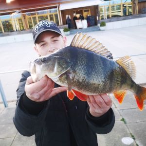 Bass_hunter29