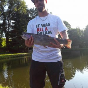 Mirco66
