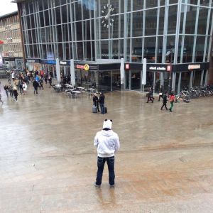 Profilbild