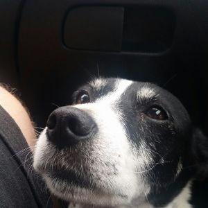 Profilbild