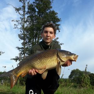 Profilbild
