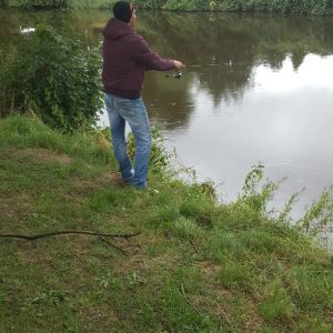 Profilbild