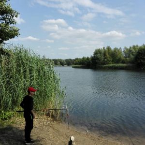 Profilbild