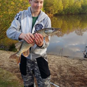 Profilbild