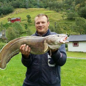 Profilbild