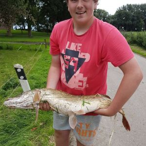 Profilbild