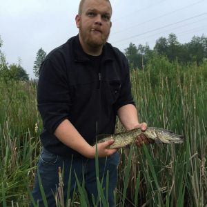 Profilbild