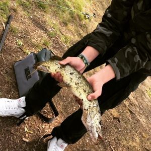 Profilbild