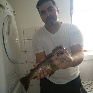 Profilbild