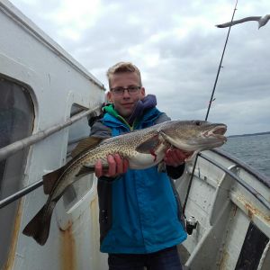 Profilbild
