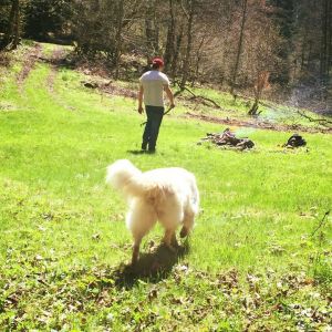Profilbild