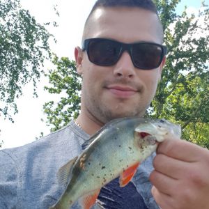 Profilbild