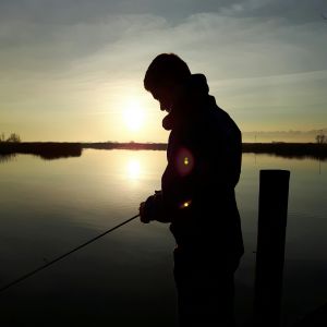 Profilbild
