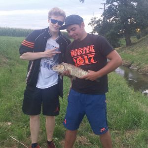 Profilbild