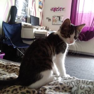 Profilbild