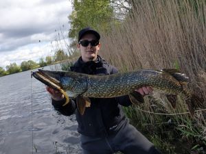 phil_predatorfishing