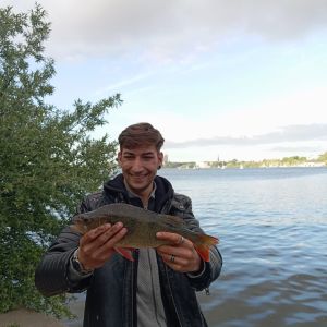 Profilbild