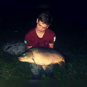 Profilbild