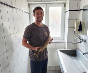 Profilbild
