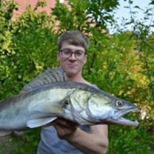 Profilbild